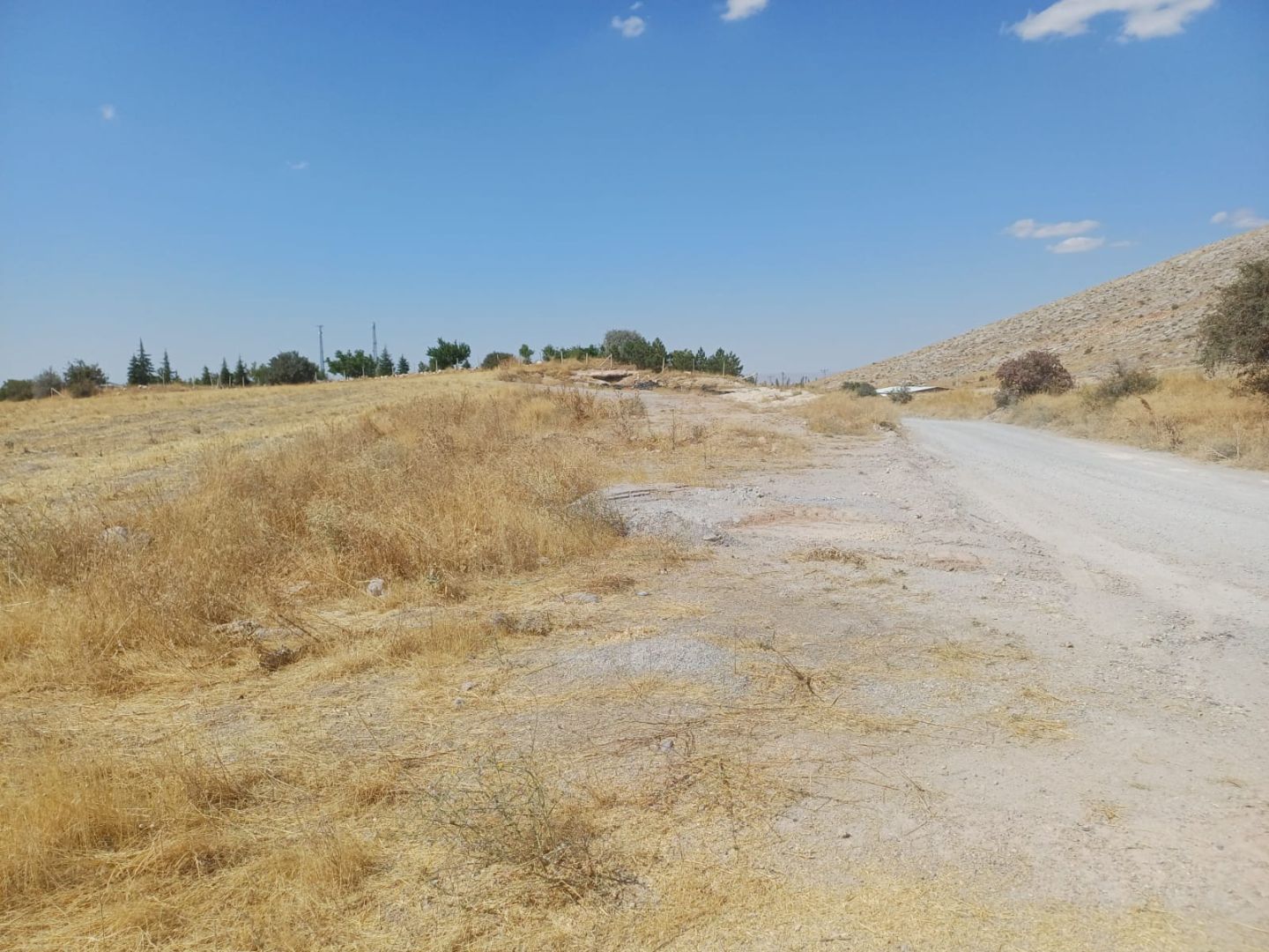 İster Çiftlik Yapımı için Değerlendir ister Doğa ile Baş başa Sakin Bir Yaşam İçin Tercih Et - 7