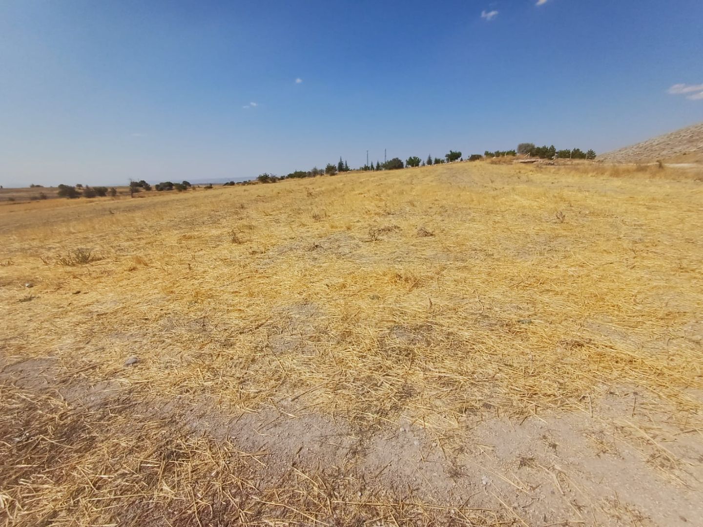 İster Çiftlik Yapımı için Değerlendir ister Doğa ile Baş başa Sakin Bir Yaşam İçin Tercih Et - 14