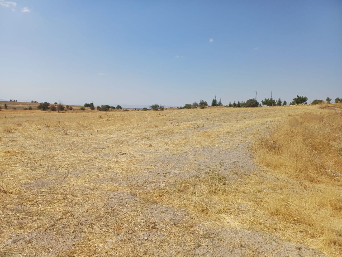 İster Çiftlik Yapımı için Değerlendir ister Doğa ile Baş başa Sakin Bir Yaşam İçin Tercih Et - 6