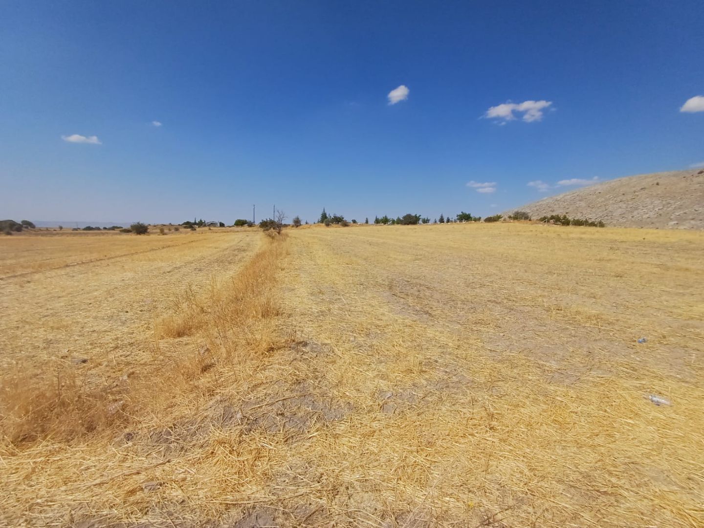 İster Çiftlik Yapımı için Değerlendir ister Doğa ile Baş başa Sakin Bir Yaşam İçin Tercih Et - 10