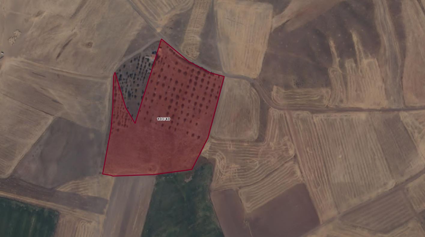 YAŞAR GYO| SARIOĞLAN TATILI KÖYÜNDE SATILIK 23.860 m² TARLA ! - 2