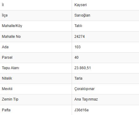 YAŞAR GYO| SARIOĞLAN TATILI KÖYÜNDE SATILIK 23.860 m² TARLA ! - 5