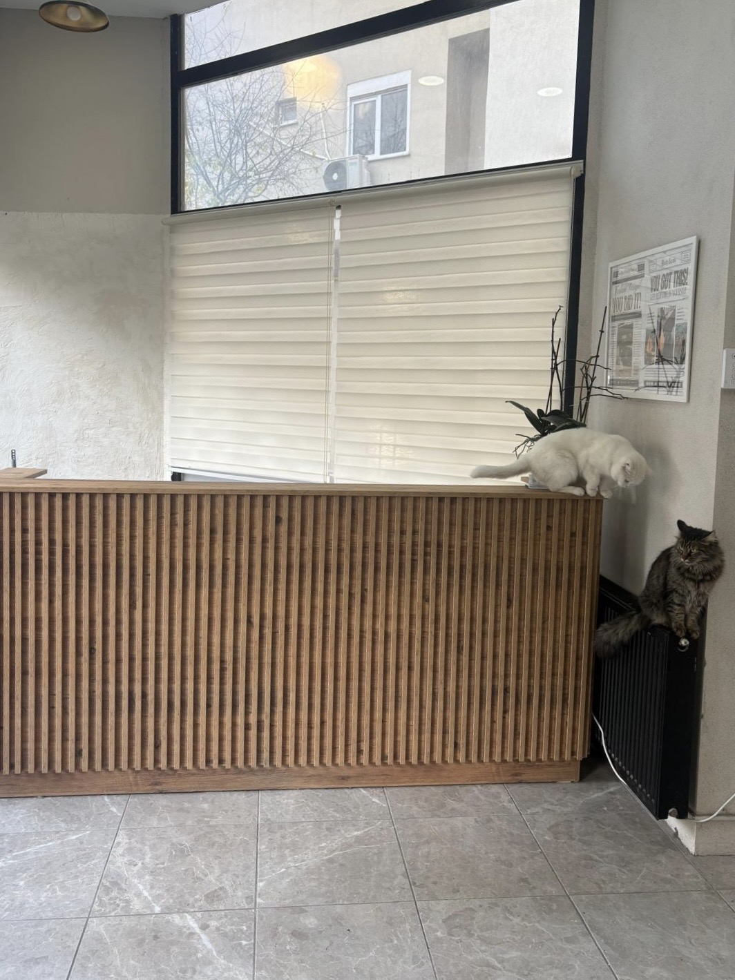 Görünürlüğü ve Prestiji Lokasyonda Yüksek Devren Kiralık Dükkan - 12