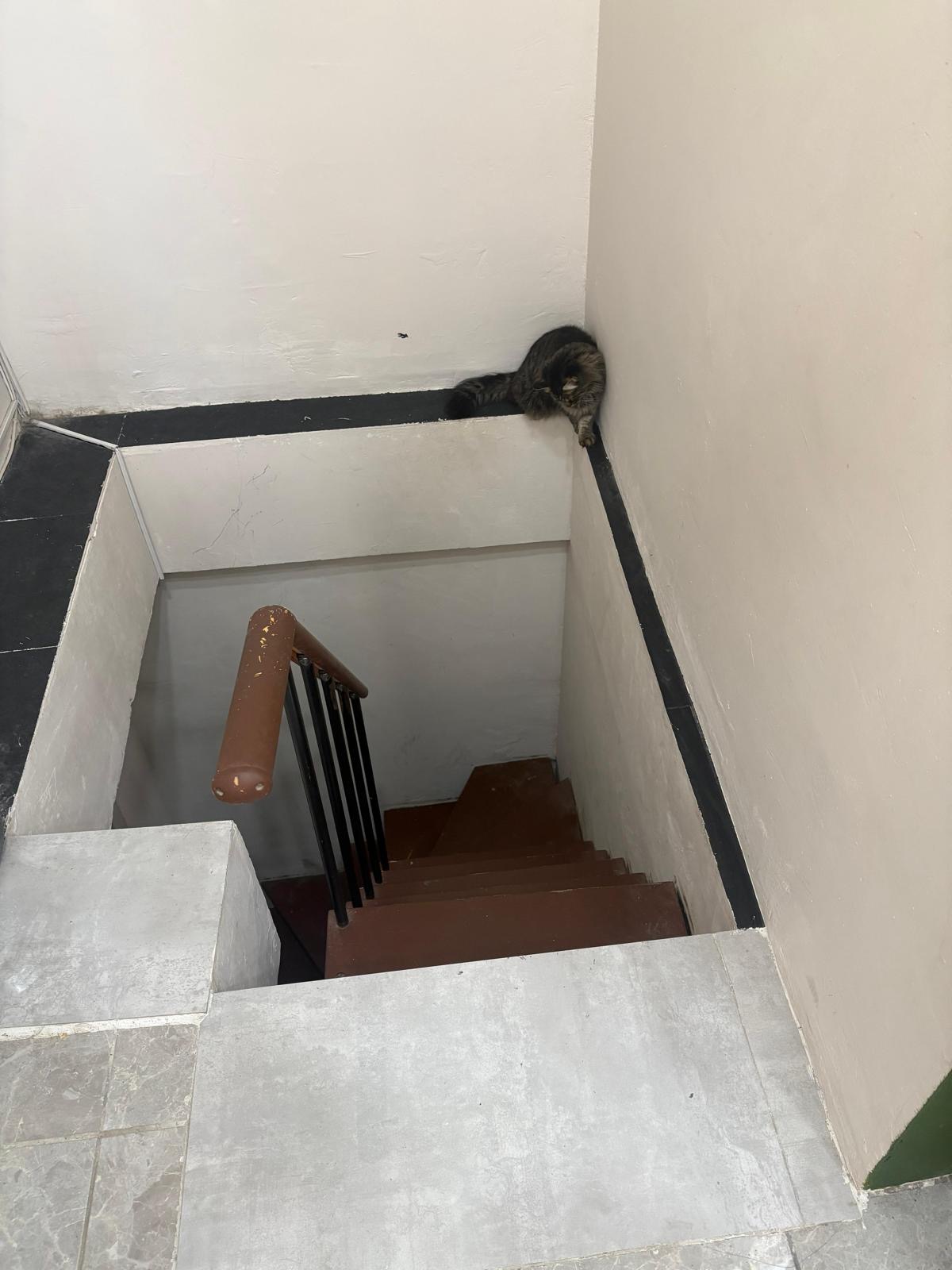 Görünürlüğü ve Prestiji Lokasyonda Yüksek Devren Kiralık Dükkan