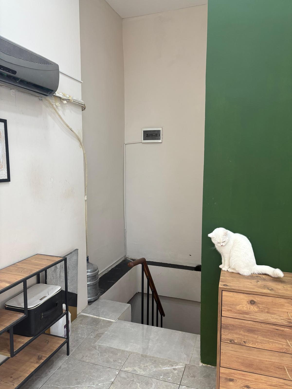 Görünürlüğü ve Prestiji Lokasyonda Yüksek Devren Kiralık Dükkan - 16