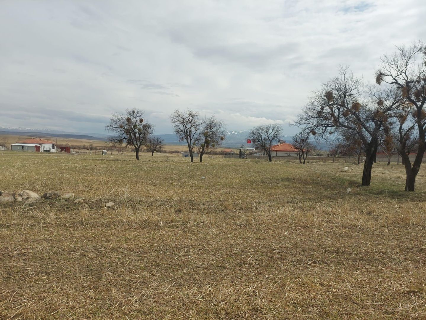 DORUKLU'DA YERLEŞİM YERİNE YAKIN SATILIK TARLA - 3