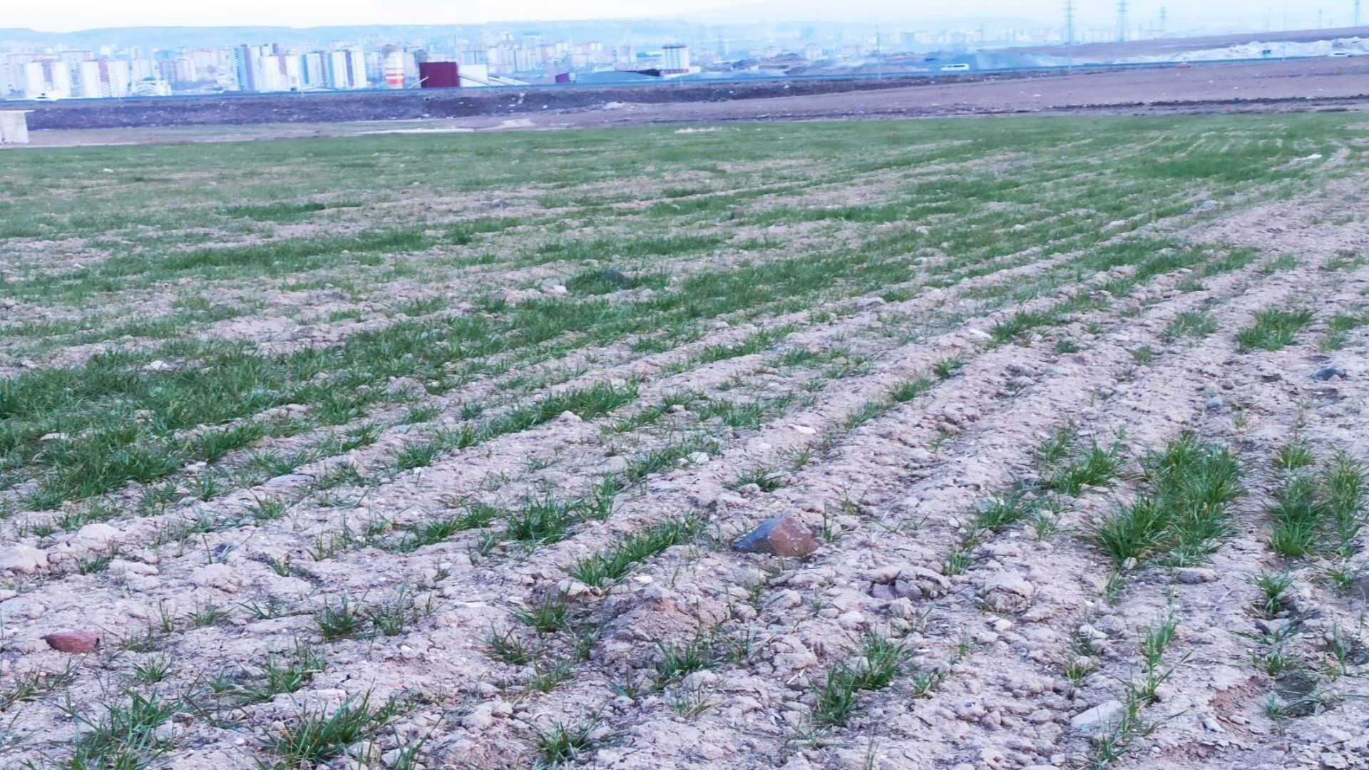Kocasinan Cırgalan Mah Ana yol kenarı Satılık Ticari Tarla - 9