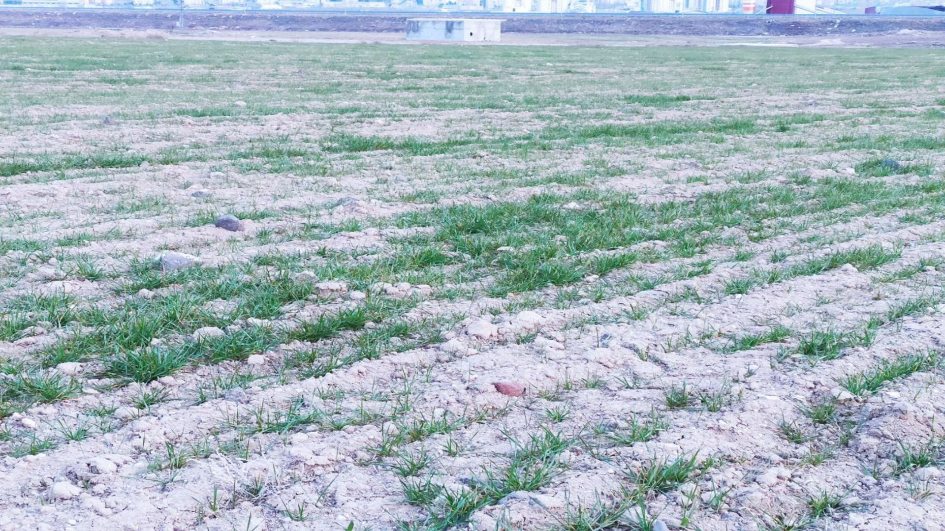 Kocasinan Cırgalan Mah Ana yol kenarı Satılık Ticari Tarla - 2