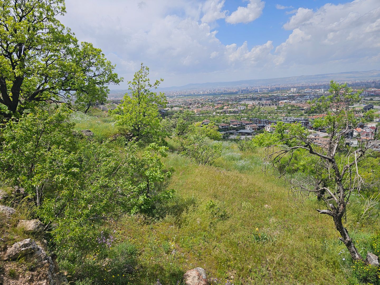 ALİ DAĞ ETEKLERİNDE PANORAMİK MANZARALI VİLLA PARSELİ - 18